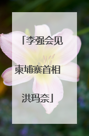 李强会见柬埔寨首相洪玛奈