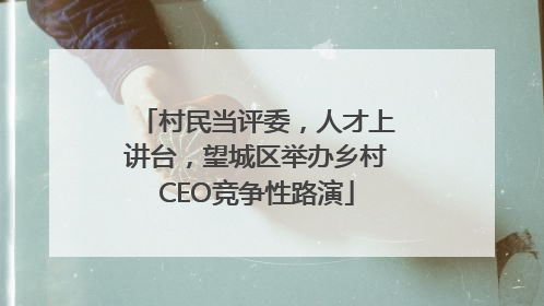 村民当评委，人才上讲台，望城区举办乡村CEO竞争性路演