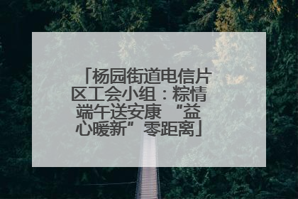 杨园街道电信片区工会小组：粽情端午送安康 “益心暖新”零距离