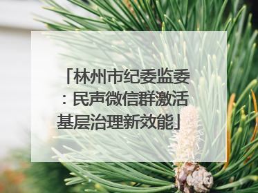 林州市纪委监委：民声微信群激活基层治理新效能