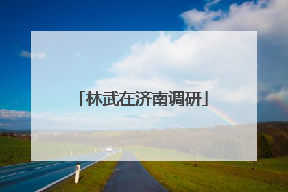 林武在济南调研