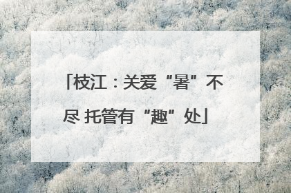 枝江：关爱“暑”不尽 托管有“趣”处
