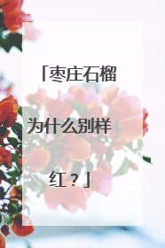 枣庄石榴为什么别样红？