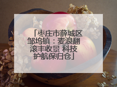 枣庄市薛城区邹坞镇：麦浪翻滚丰收景 科技护航保归仓