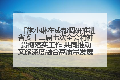 施小琳在成都调研推进省委十二届七次全会精神贯彻落实工作 共同推动文旅深度融合高质量发展 加快打造支柱产业民生产业幸福产业