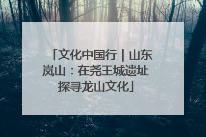 文化中国行｜山东岚山：在尧王城遗址探寻龙山文化
