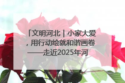 文明河北｜小家大爱，用行动绘就和谐画卷——走近2025年河北省“最美家庭”