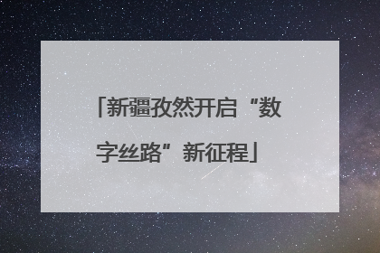 新疆孜然开启“数字丝路”新征程