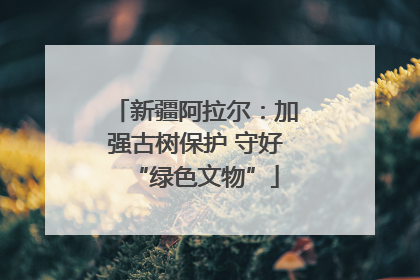 新疆阿拉尔：加强古树保护 守好“绿色文物”