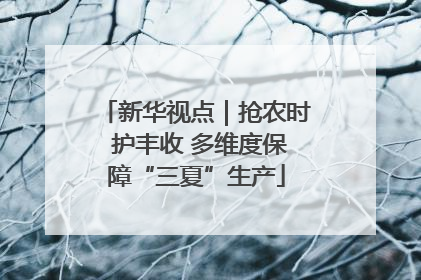 新华视点｜抢农时 护丰收 多维度保障“三夏”生产