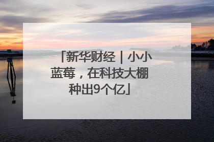 新华财经｜小小蓝莓，在科技大棚种出9个亿