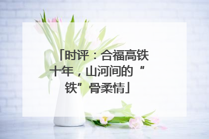 时评：合福高铁十年，山河间的“铁”骨柔情