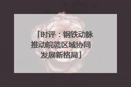 时评：钢铁动脉推动皖赣区域协同发展新格局