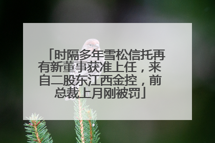 时隔多年雪松信托再有新董事获准上任，来自二股东江西金控，前总裁上月刚被罚