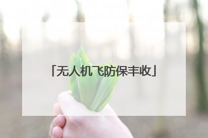 无人机飞防保丰收