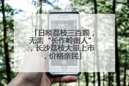 日啖荔枝三百颗，无需“长作岭南人”，长沙荔枝大量上市，价格亲民
