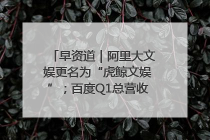 早资道｜阿里大文娱更名为“虎鲸文娱”；百度Q1总营收325亿元超预期