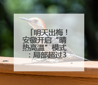 明天出梅！安徽开启“晴热高温”模式：局部超过39℃