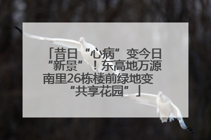 昔日“心病”变今日“新景”！东高地万源南里26栋楼前绿地变“共享花园”