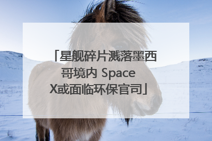 星舰碎片溅落墨西哥境内 SpaceX或面临环保官司