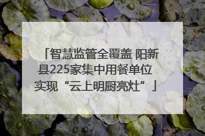 智慧监管全覆盖 阳新县225家集中用餐单位实现“云上明厨亮灶”