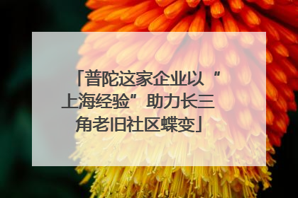 普陀这家企业以“上海经验”助力长三角老旧社区蝶变