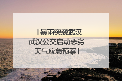 暴雨突袭武汉 武汉公交启动恶劣天气应急预案