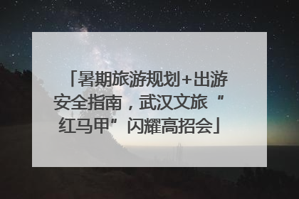 暑期旅游规划+出游安全指南，武汉文旅“红马甲”闪耀高招会