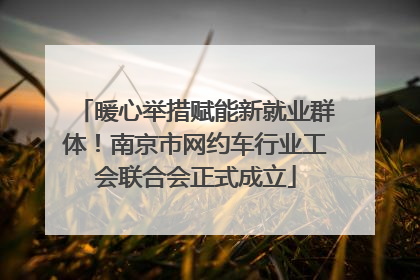 暖心举措赋能新就业群体！南京市网约车行业工会联合会正式成立