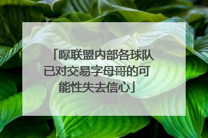 曝联盟内部各球队已对交易字母哥的可能性失去信心