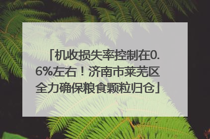 机收损失率控制在0.6%左右！济南市莱芜区全力确保粮食颗粒归仓