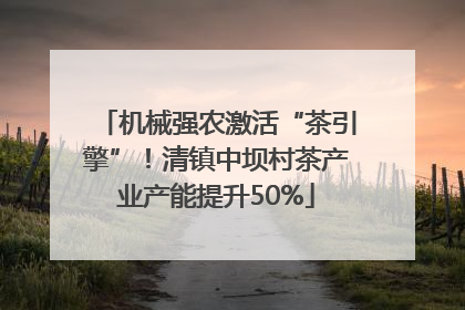 机械强农激活“茶引擎”！清镇中坝村茶产业产能提升50%