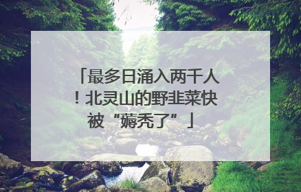 最多日涌入两千人！北灵山的野韭菜快被“薅秃了”