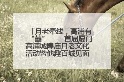 月老牵线，高浦有“囍”——首届厦门高浦城隍庙月老文化活动暨他趣百城见面会隆重举办