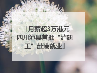 月薪超3万港元 四川泸县首批“泸建工”赴港就业