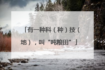 有一种科（种）技（地），叫“吨粮田”