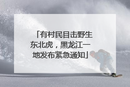 有村民目击野生东北虎，黑龙江一地发布紧急通知