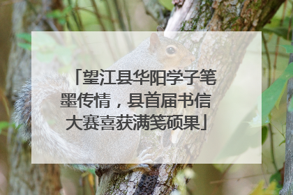 望江县华阳学子笔墨传情，县首届书信大赛喜获满笺硕果