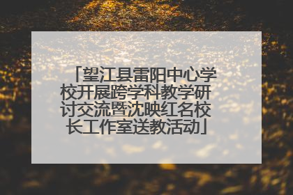 望江县雷阳中心学校开展跨学科教学研讨交流暨沈映红名校长工作室送教活动