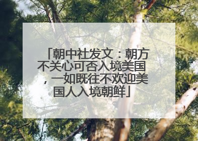 朝中社发文：朝方不关心可否入境美国，一如既往不欢迎美国人入境朝鲜