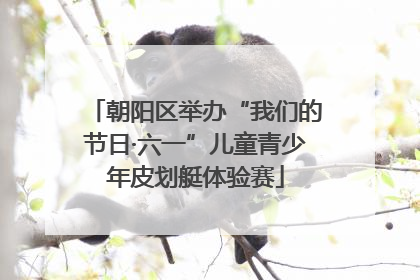 朝阳区举办“我们的节日·六一”儿童青少年皮划艇体验赛