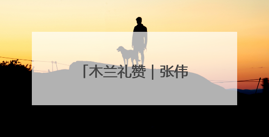 木兰礼赞｜张伟：用脚步丈量城市经纬，为民生项目按下“加速键”
