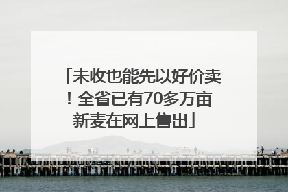 未收也能先以好价卖！全省已有70多万亩新麦在网上售出