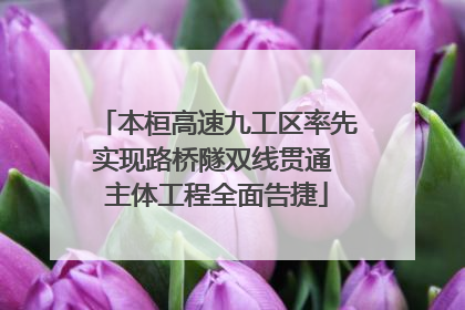 本桓高速九工区率先实现路桥隧双线贯通 主体工程全面告捷