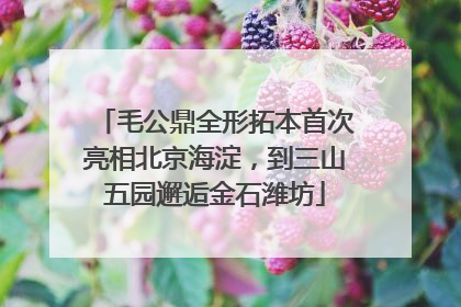 毛公鼎全形拓本首次亮相北京海淀，到三山五园邂逅金石潍坊