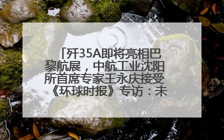 歼35A即将亮相巴黎航展，中航工业沈阳所首席专家王永庆接受《环球时报》专访：未来数量可以有很多