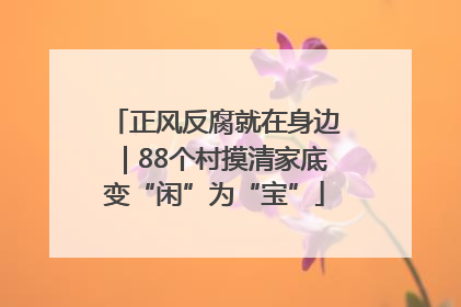正风反腐就在身边｜88个村摸清家底变“闲”为“宝”