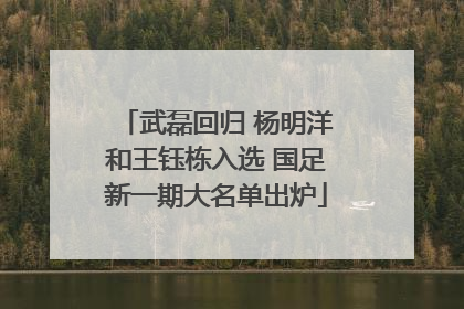 武磊回归 杨明洋和王钰栋入选 国足新一期大名单出炉