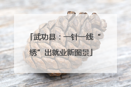 武功县：一针一线“绣”出就业新图景