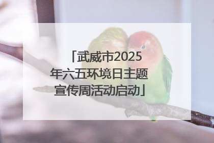 武威市2025年六五环境日主题宣传周活动启动